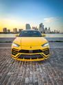 Thumbnail of 2019 Yellow Lamborghini Urus