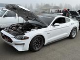 Thumbnail of 2019 White Ford Mustang