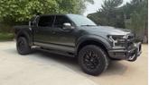 Thumbnail of 2019 Gray Ford F-150