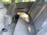 Thumbnail of 2005 Silver Toyota Camry