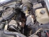 Thumbnail of 1995 White Chevrolet 1500