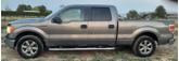 Thumbnail of 2010 Gray Ford F-150