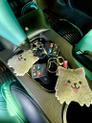Thumbnail of 2005 Blue Ford Thunderbird