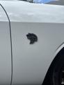 Thumbnail of 2015 White Dodge Challenger