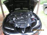 Thumbnail of 2001 Black Pontiac Firebird