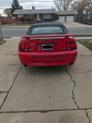 Thumbnail of 2004 Red Ford Mustang