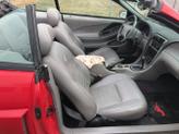 Thumbnail of 2004 Red Ford Mustang