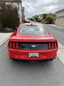 Thumbnail of 2020 Red Ford Mustang