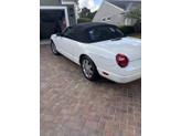 Thumbnail of 2002 White Ford Thunderbird