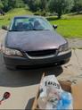 Thumbnail of 1999 Beige Honda Accord