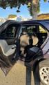 Thumbnail of 2019 Blue Chevrolet Equinox