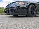 Thumbnail of 2003 Black Ford Mustang