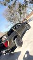 Thumbnail of 2024 Green Ford F-150