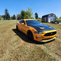 Thumbnail of 2019 Orange Ford Mustang