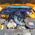 Thumbnail of 2019 Orange Ford Mustang