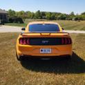 Thumbnail of 2019 Orange Ford Mustang