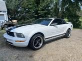 Thumbnail of 2006 White Ford Mustang