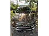 Thumbnail of 2015 Brown Ford F-150