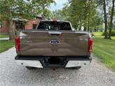Thumbnail of 2015 Brown Ford F-150