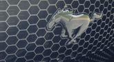Thumbnail of 2022 Gold Ford Mustang