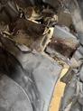 Thumbnail of 2007 Black INFINITI G35