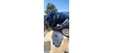 Thumbnail of 2015 Black Toyota Camry