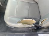 Thumbnail of 2011 White Ford Ranger