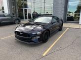 Thumbnail of 2022 Purple Ford Mustang