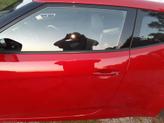 Thumbnail of 2013 Red Hyundai Veloster