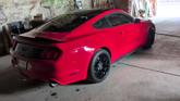 Thumbnail of 2017 Red Ford Mustang