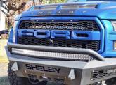 Thumbnail of 2018 Blue Ford F-150
