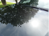 Thumbnail of 2017 Black BMW X1