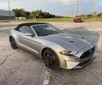 Thumbnail of 2022 Silver Ford Mustang