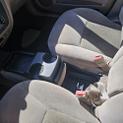 Thumbnail of 2006 Gold Ford Taurus