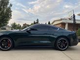 Thumbnail of 2019 Green Ford Mustang