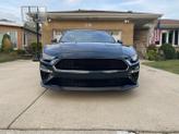 Thumbnail of 2019 Green Ford Mustang