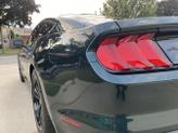 Thumbnail of 2019 Green Ford Mustang