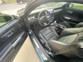 Thumbnail of 2019 Green Ford Mustang