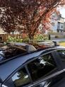 Thumbnail of 2014 Black Mazda Mazda3