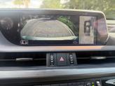 Thumbnail of 2019 Beige Lexus ES 300h