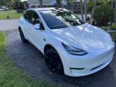 Photo of 2023 White Tesla Model Y