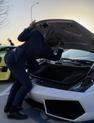 Thumbnail of 2013 White Lamborghini Gallardo