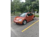Photo of 2010 Orange Volkswagen New Beetle