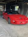 Thumbnail of 2002 Red Pontiac Firebird
