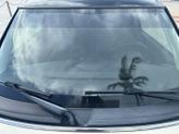 Thumbnail of 2011 White MINI Cooper S Clubman