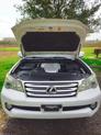Thumbnail of 2011 White Lexus GX 460