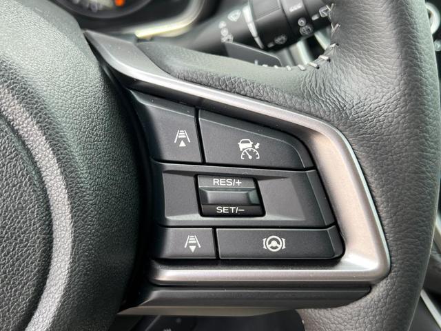 Photo of 2025 Autumn Subaru Outback