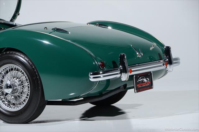 Photo of 1954 Spruce Green Austin-Healey 100