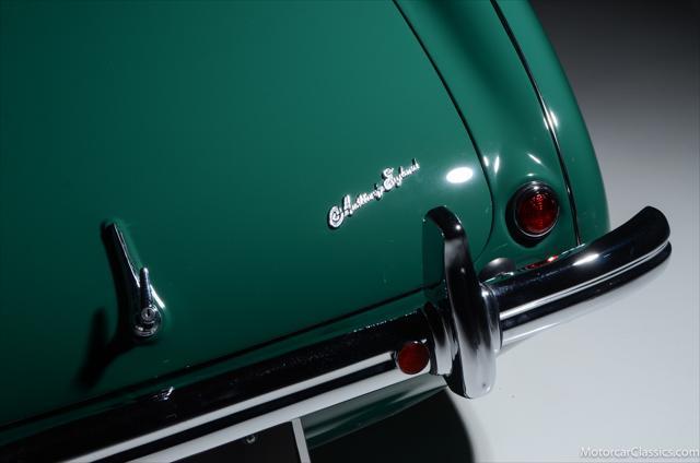 Photo of 1954 Spruce Green Austin-Healey 100