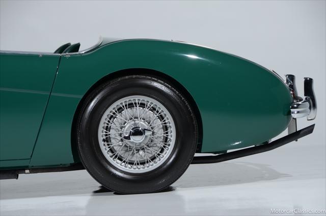 Photo of 1954 Spruce Green Austin-Healey 100